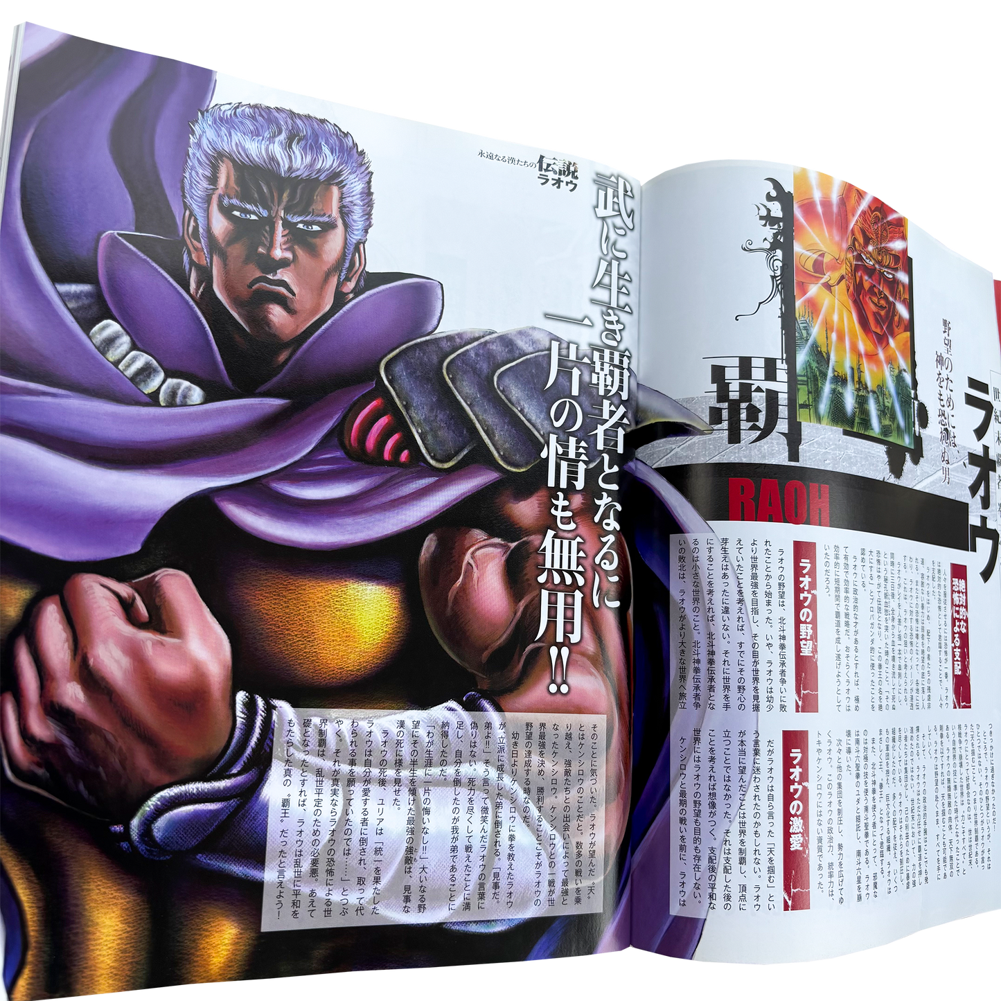FIST OF THE NORTH STAR OFFICIAL ARTBOOK