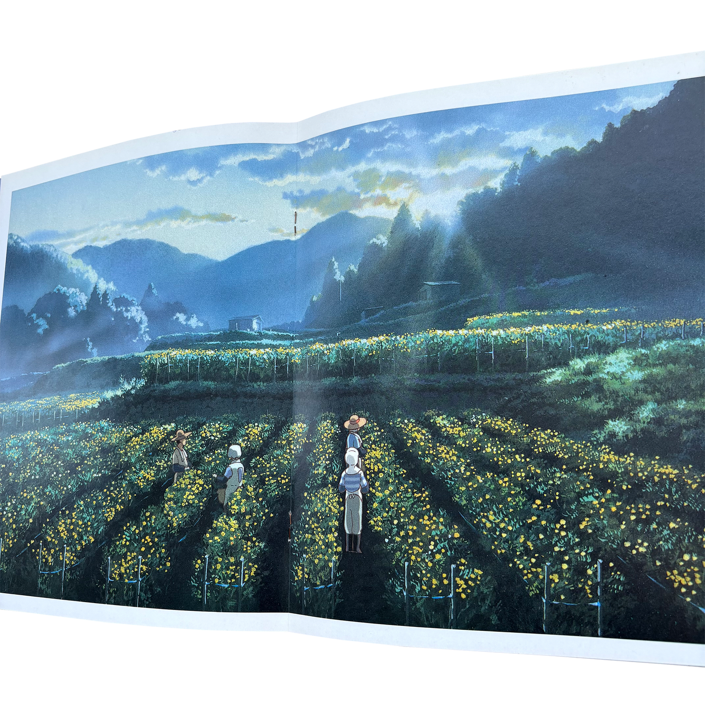 ONLY YESTERDAY GHIBLI VINTAGE 90s OFFICIAL PROMOTIONAL BOOK