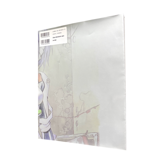 NEON GENESIS EVANGELION NEWTYPE ILLUSTRATED COLLECTION DERMOND YOSHIYUKI SADAMOTO VINTAGE 1999 OFFICIAL ARTBOOK